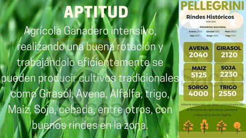 Imagen 13 de 14 de Campo Agrícola Ganadero En Venta En #pellegrini