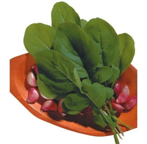 Sementes De Rúcula Apreciatta - Lata De 50g