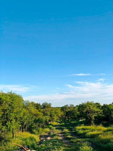 Lote 2500 M2 - Escritura Con Financiacion / Villa De Las Rosas - Traslasierra