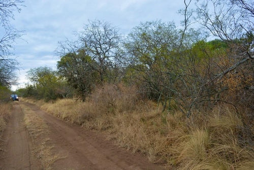 Hectareas En Cañada La Negra