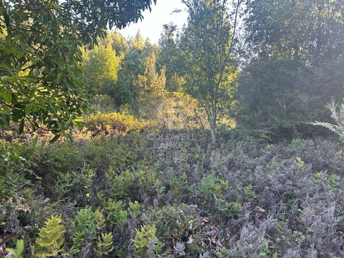 Parcela A Orilla De Rio Con 8000mtr2 C/u