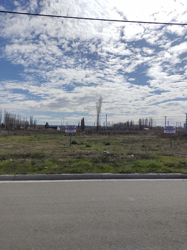 Terreno En Venta, Loteo Los Cedros 3, Plottier.