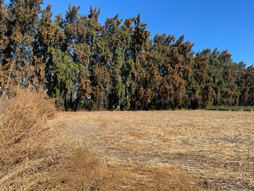 Terreno En Condominio Pinares De Mahuida