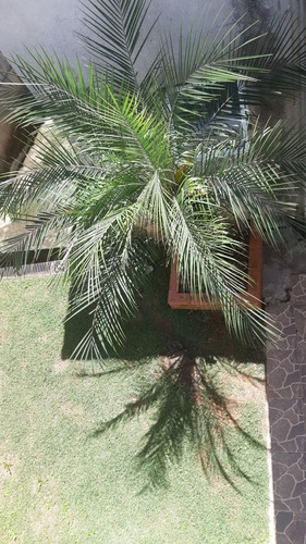Imagem 18 de 25 de Chácara Com 3 Dormitórios À Venda, 1300 M² Por R$ 450.000 - São Bento - Arujá/sp - Ch0004