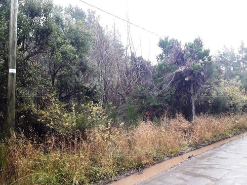 Imagen 6 de 6 de Terreno Lote En Venta Ubicado En Península San Pedro, Bariloche