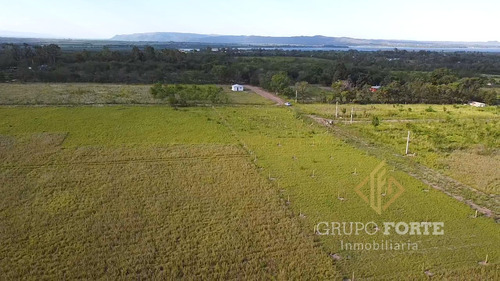 Imagen 16 de 29 de Lotes En Quillinzo
