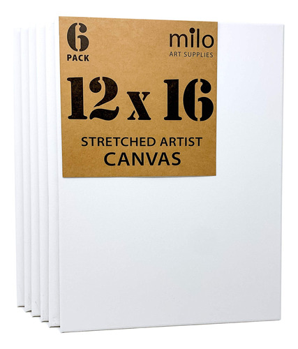 Pack 6 Lienzos Artísticos Estirados 30 X 40 Cm Imprimados Y