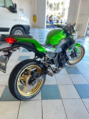 Moto Kawasaki  Z300 2018 45.000km Verde