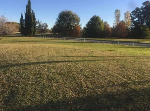 Imagen 5 de 6 de Terreno En Venta En Everlinks