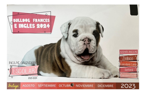 Calendario 2024 Perros Perritos Cachorros, Bulldog Frances