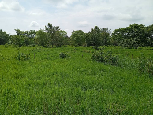Finca De 83.5 Has. En Puerto Concha, Sur Del Lago De Maracaibo