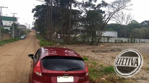 Imagem 3 de 8 de Área Terreno 13.500 M² - Pinhais - Colombo Pr - 577t