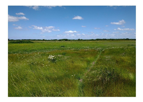 Campo En Venta En Chascomús - 183 Hectáreas Agrícola