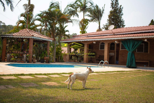 Imagem 6 de 30 de Chacara - Ch00026 - 70638646