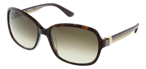 Ferragamo Salvatore Tortoise Marco De Plástico Marrón Lente