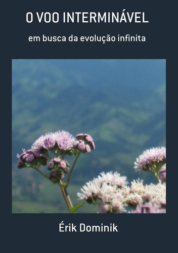 O Voo Interminável: Em Busca Da Evolução Infinita, De Érik Dominik. Série Não Aplicável, Vol. 1. Editora Clube De Autores, Capa Mole, Edição 1 Em Português, 2013