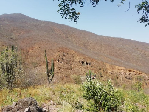 Venta De Terreno De Minas Con Oro