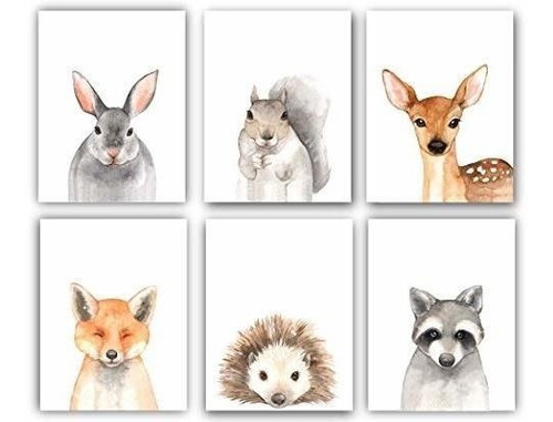 Acuarela Bosque Animales Juego De 6 Impresiones De Pared Sin