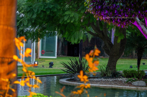 Propiedad Para Inversión Salón De Eventos San Isidro Mazatepec Zona Sur Galerías