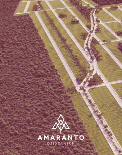 Imagen 7 de 11 de Amaranto Santa Clara