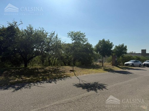 Terreno En Estancia Q2