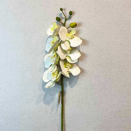 Orquidea Phalaenopsis 75cm X 7 Blanca