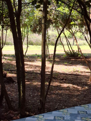 11,5ha Terreno Con Casa Y Piscina Lado Del Rio Unihue