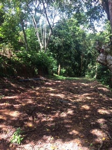 Imagem 19 de 19 de Ótima Granja 2,5 Hec, Guabiraba-aldeia, 250m De Beira De Pista, Aceito Imóvel Ou Carro - Ch00006