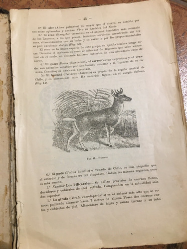 Libro Antiguo Elementos De Zoología, P. Félix Jaffuel (1921) (Usado)