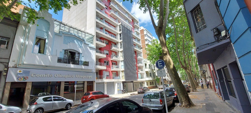 Imagen 11 de 14 de Venta/alquiler Local Comercial Barrio Sur