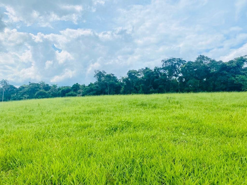 Imagem 2 de 3 de G.e01 Lote Para Venda Tem 500 Metros Quadrados.