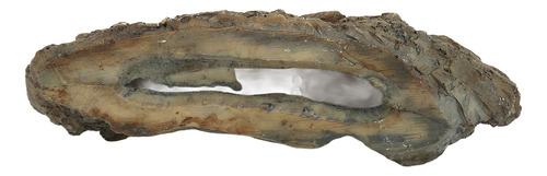 Adorno De Resina Para Acuario Con Diseño De Fósil De Dinosau