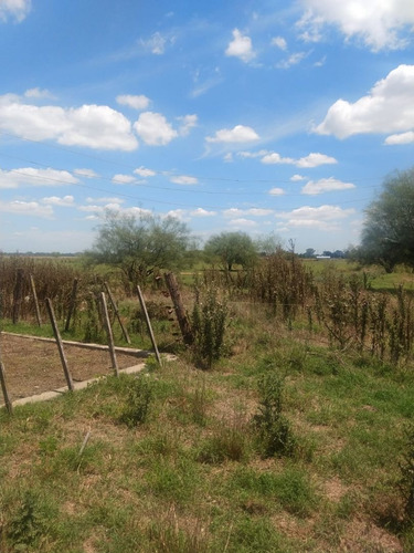 Imagen 4 de 10 de Campo En Venta En San Vicente