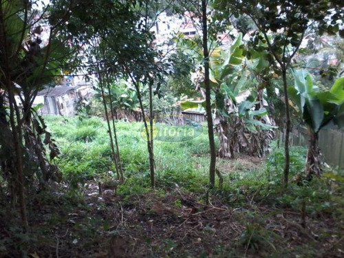 Imagem 5 de 8 de Terreno No Royal Parque - 6153