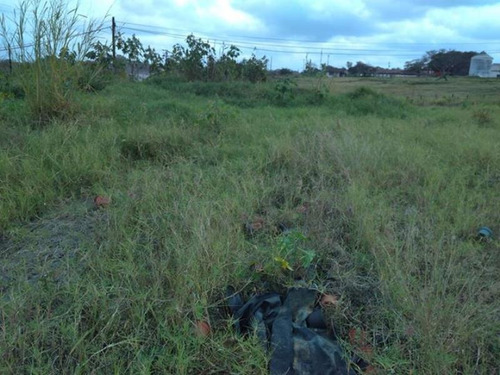 Imagen 6 de 10 de Terreno En Venta Villa Emiliano Zapata