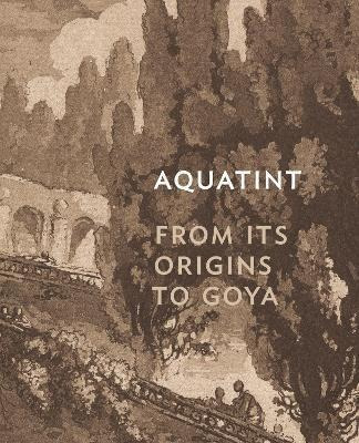 Libro Aquatint : From Its Origins To Goya - Rena M. Hoisi...