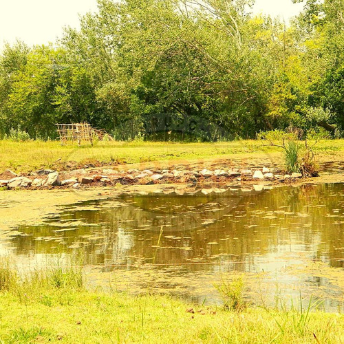 Terreno En Venta En Riachuelo