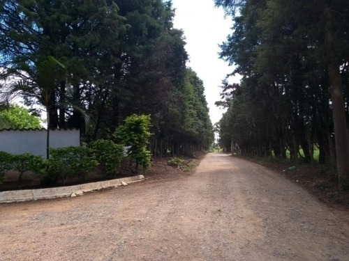 Chácara Residencial À Venda, Distrito Do Porto, Capela Do Alto. - Ch0039