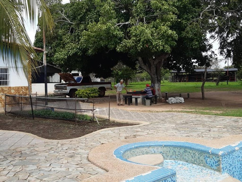 Se Vende Finca En Valle De La Pascua / Rrev09m