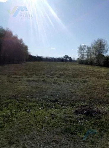 Imagen 2 de 13 de Terreno - La Ranita