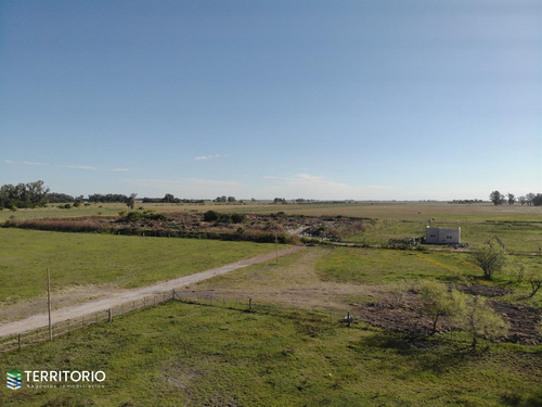 Imagen 12 de 23 de Barrio Abierto El Potro En Uribelarrea Terreno De 600 M2