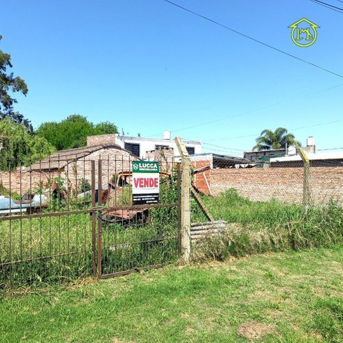 Imagen 3 de 3 de Lote De Terreno 217.52 M² A Metros De Av. San Andrés