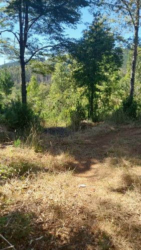 Parcela De 5000m2 A Orilla De La Ruta 206 Valdivia-paillaco