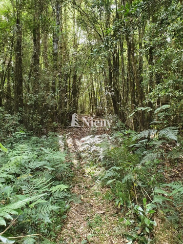 Terreno De 99 Has En Venta En Corral, A 30 Min De Valdivia
