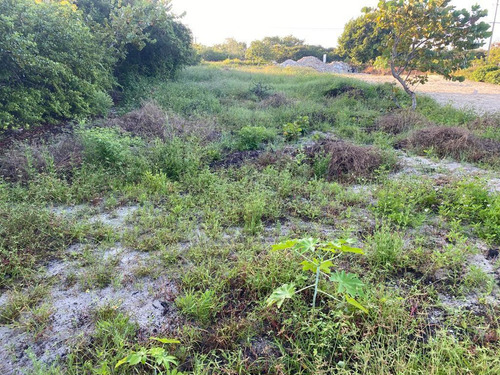 Terreno De 647 M2 Sobre Carretera Chelem - Chuburna, Yucatan