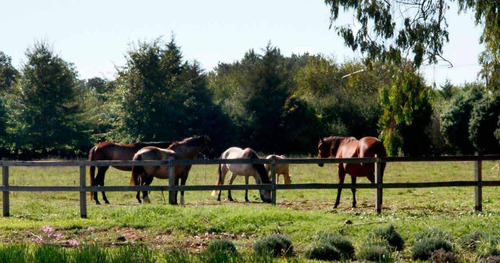 Imagen 9 de 13 de Lote En Venta En Cardales