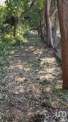 Terreno en venta