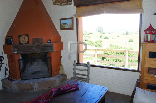 Imagen 5 de 14 de Chacra En Venta San Carlos 4 Dormitorios, 16 Hectáreas