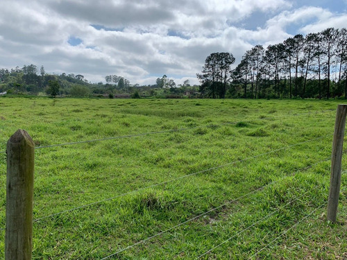 Imagem 14 de 14 de S02 - Terreno Bom E Barato