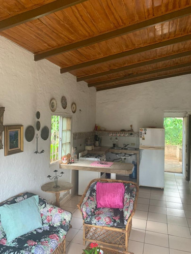Imagen 8 de 14 de Oportunidad Venta Casa Con Potencial Para Sembrar En Patio